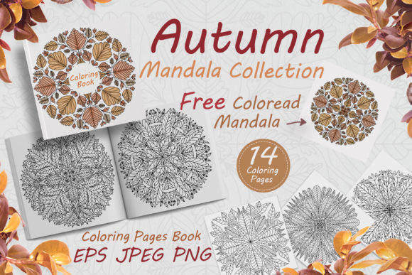 Download Autumn Mandalas Drawn from Leaves - Mandalas Collection